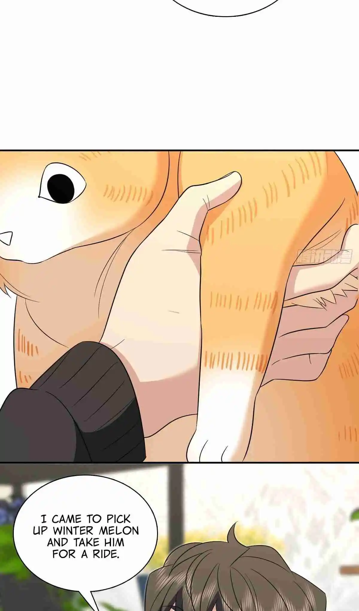 My Wife Is From a Thousand Years Ago 389