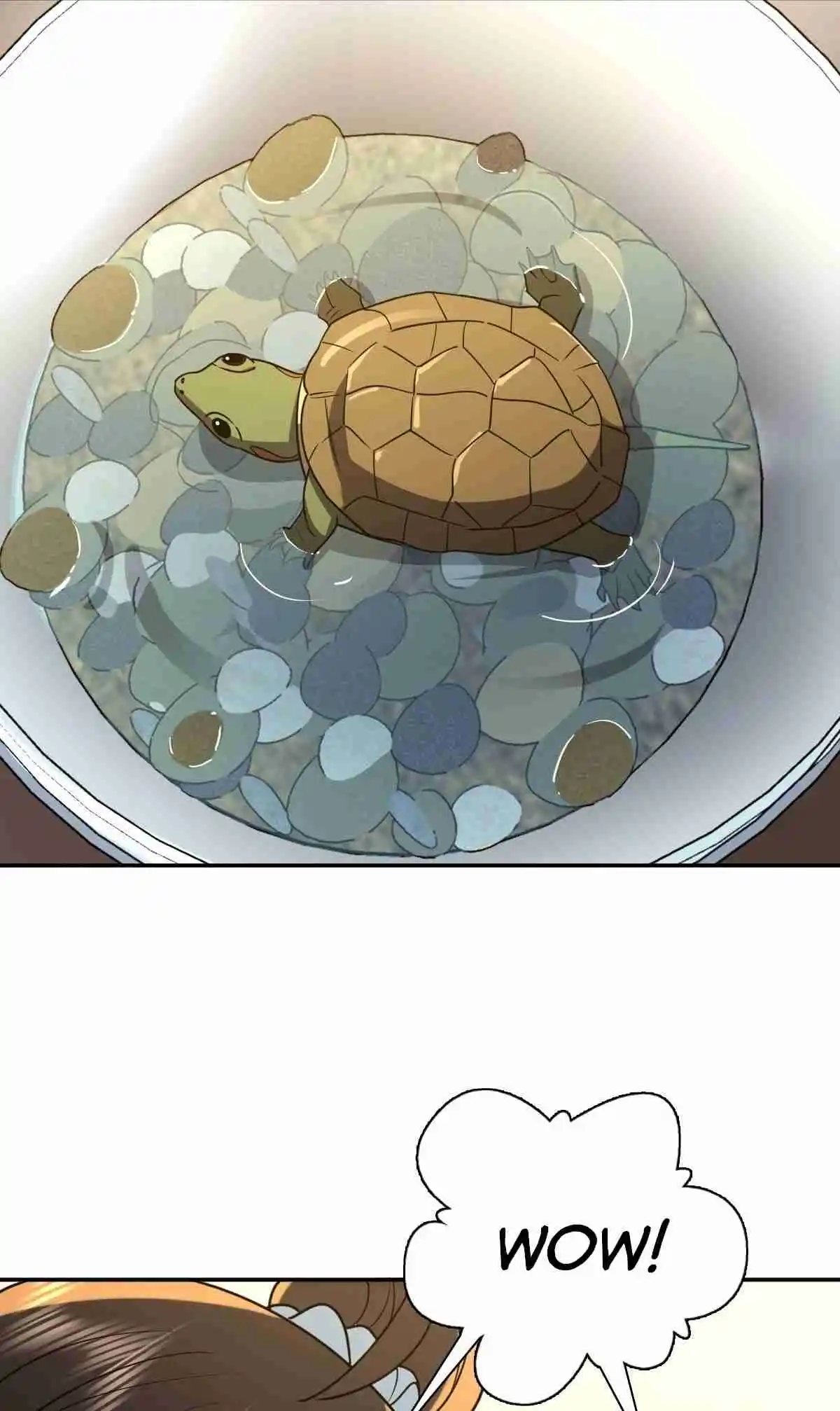 My Wife Is From a Thousand Years Ago 401