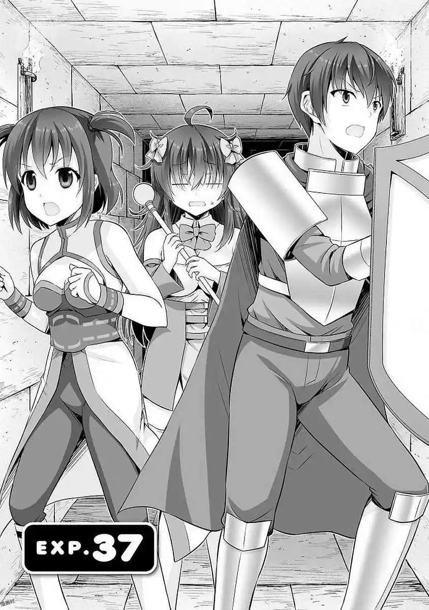 Netoge no Yome wa Onnanoko ja Nai to Omotta? 37