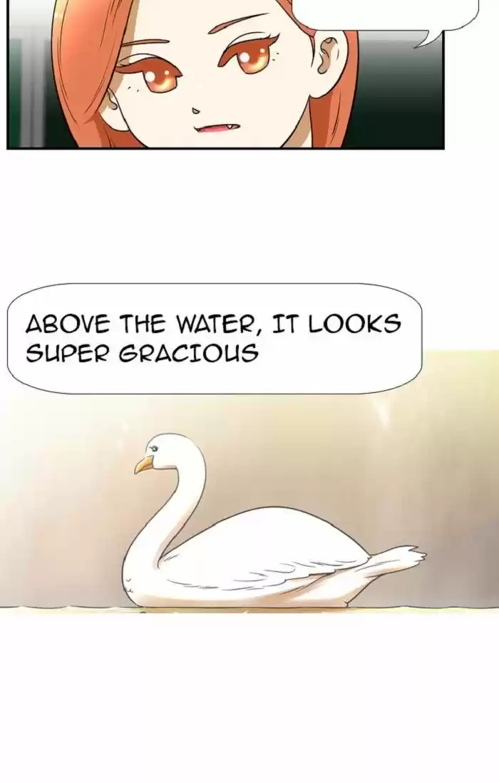 New Normal: Class 8 100