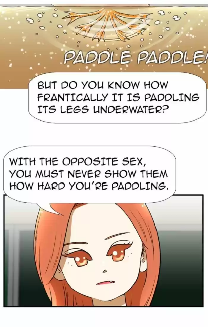 New Normal: Class 8 100