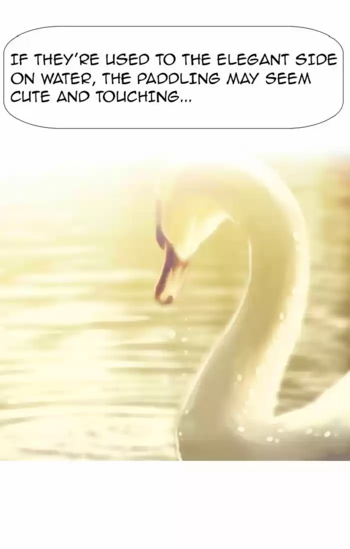 New Normal: Class 8 100