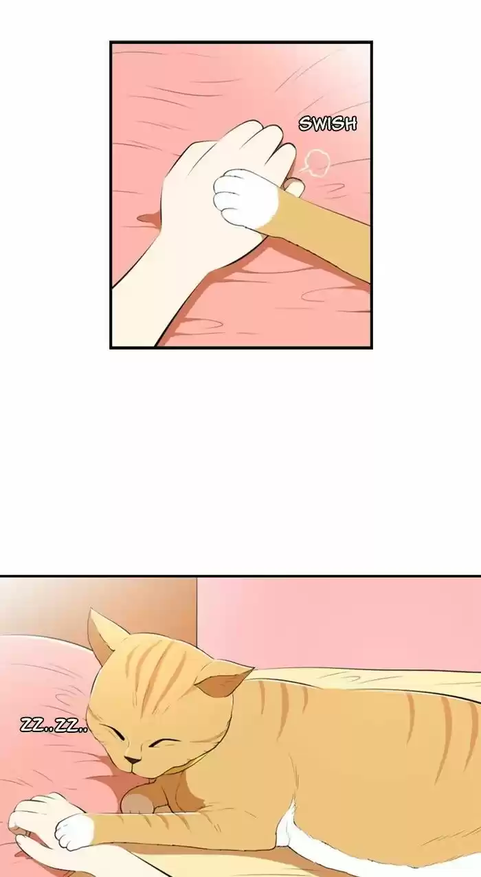 New Normal: Class 8 186