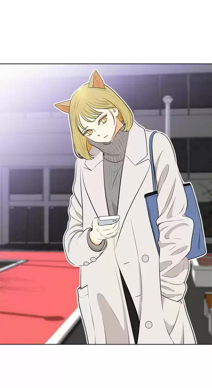 New Normal: Class 8 204