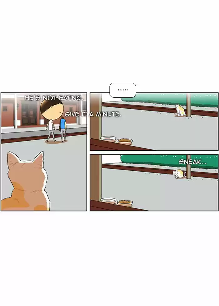 New Normal: Class 8 50