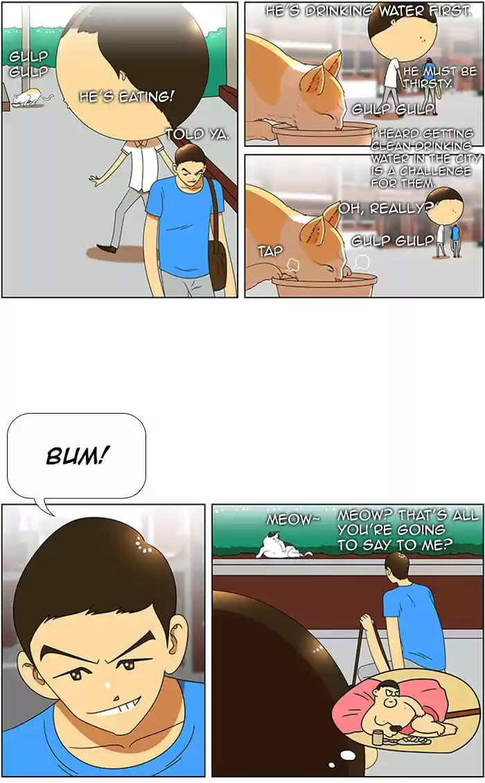 New Normal: Class 8 50