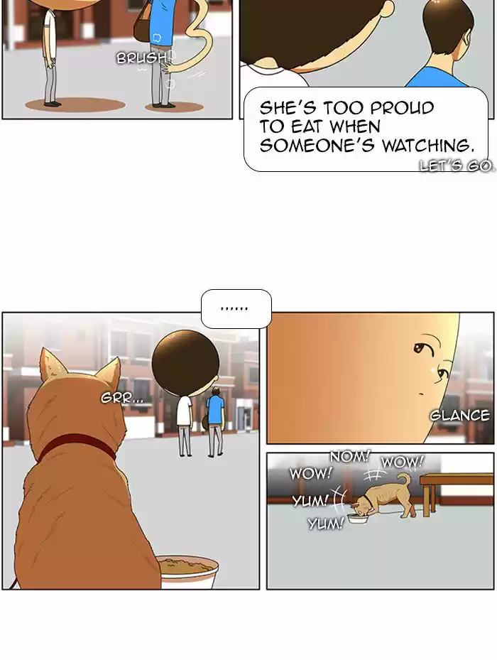 New Normal: Class 8 50