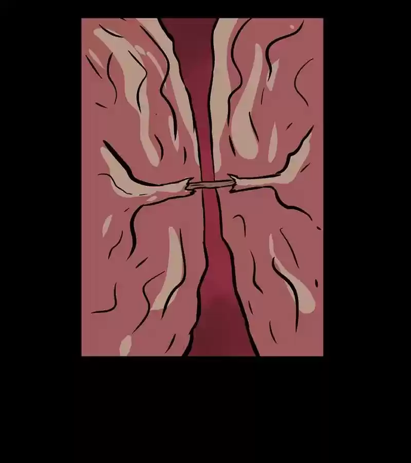 Newman Vol.4 Chapter 147