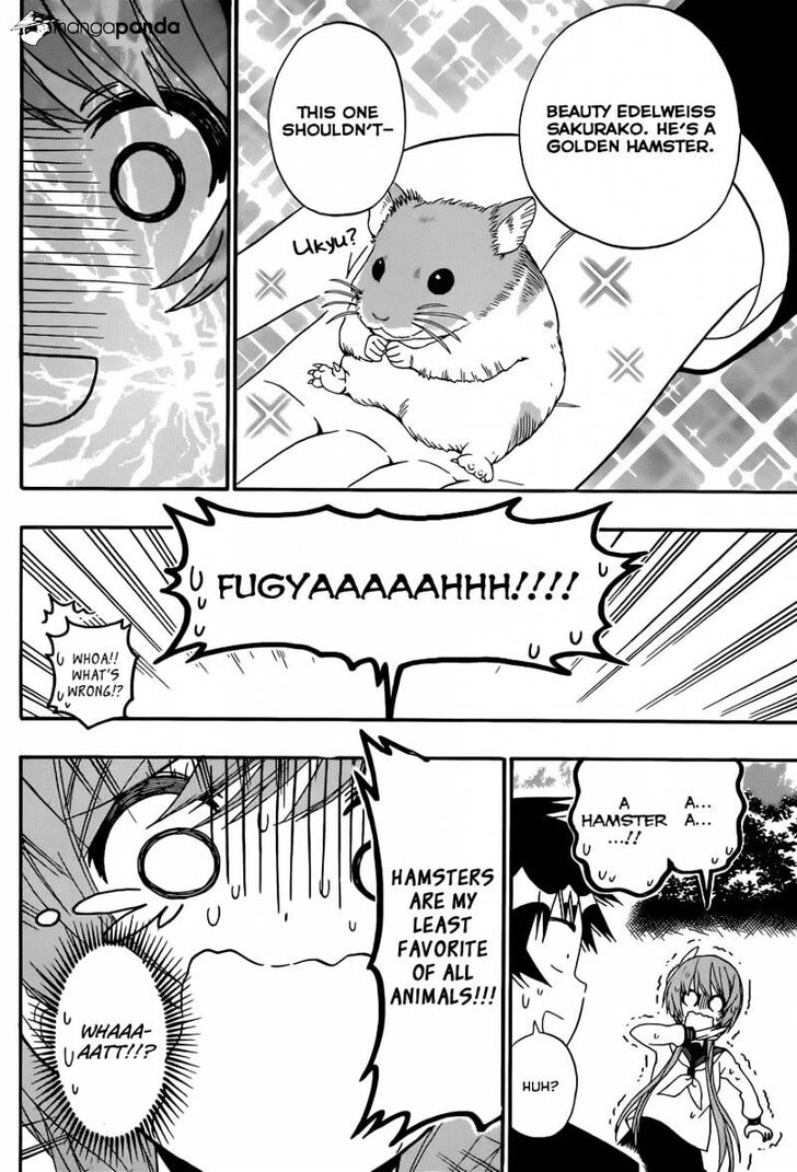 Nisekoi Doumei. Vol.15 Ch.142