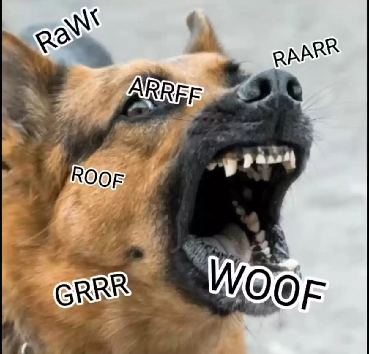 No Love Zone Chapter 39