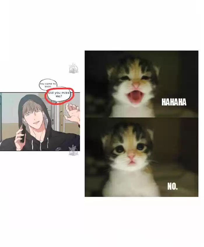 No Love Zone Chapter 53