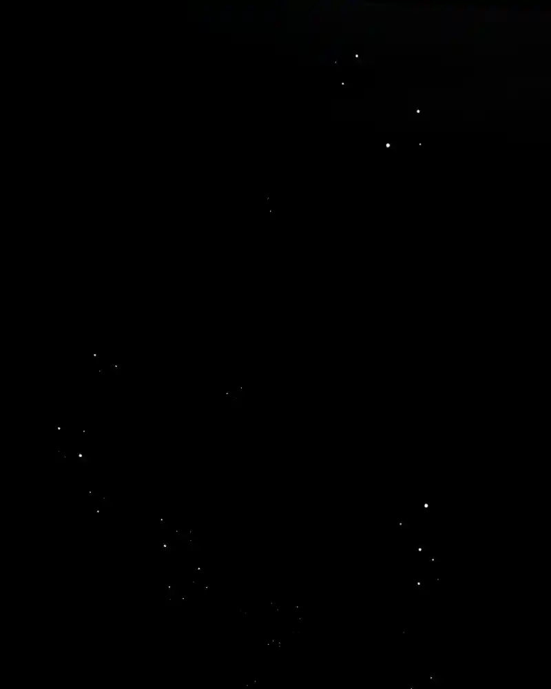 Not Even Bones Chapter 189