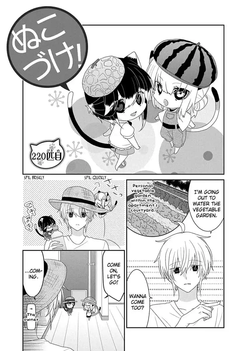 Nukoduke! Vol. 9 Ch. 220