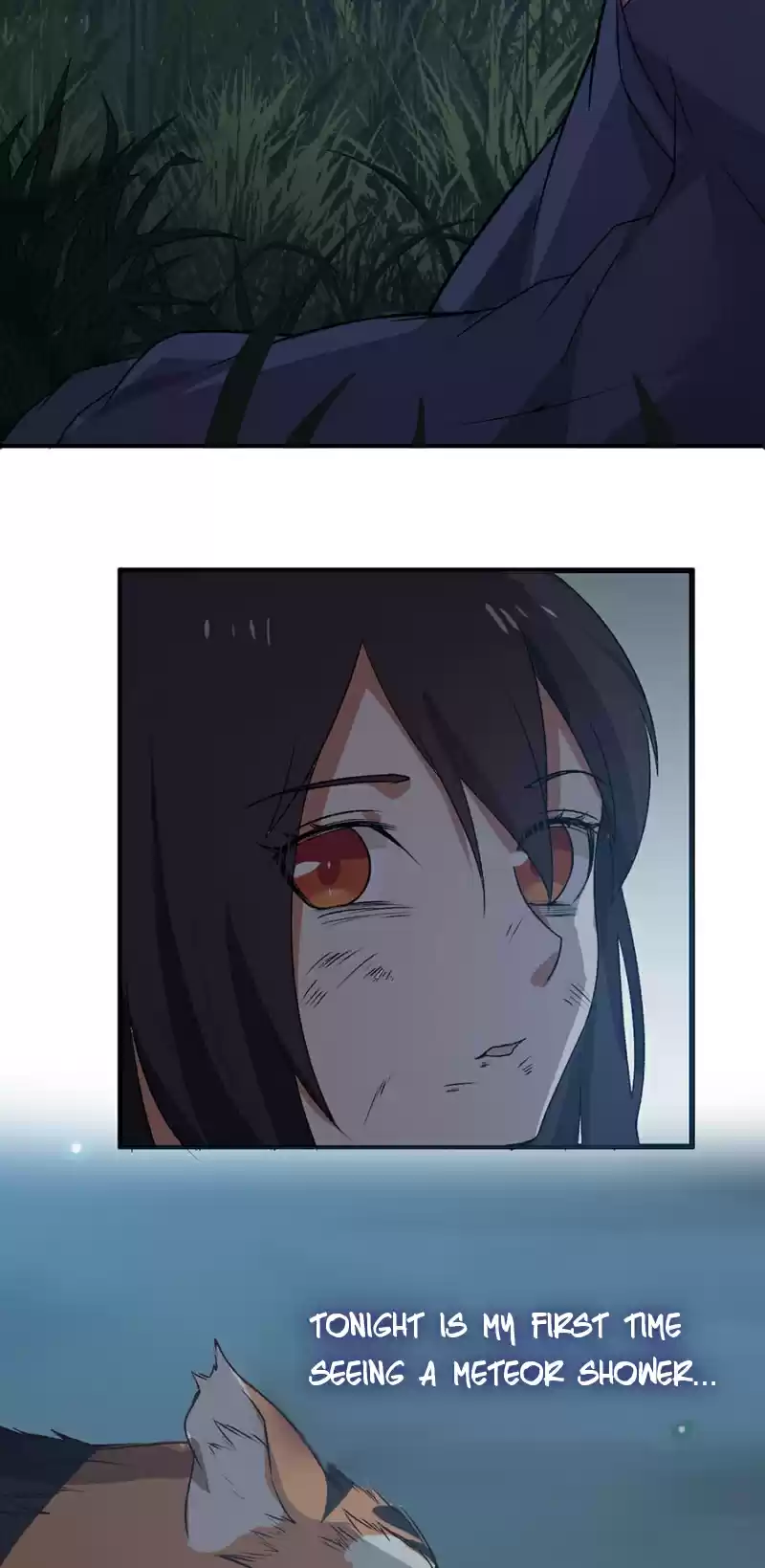 Nymph Project Ch. 1.5 A Meteor?