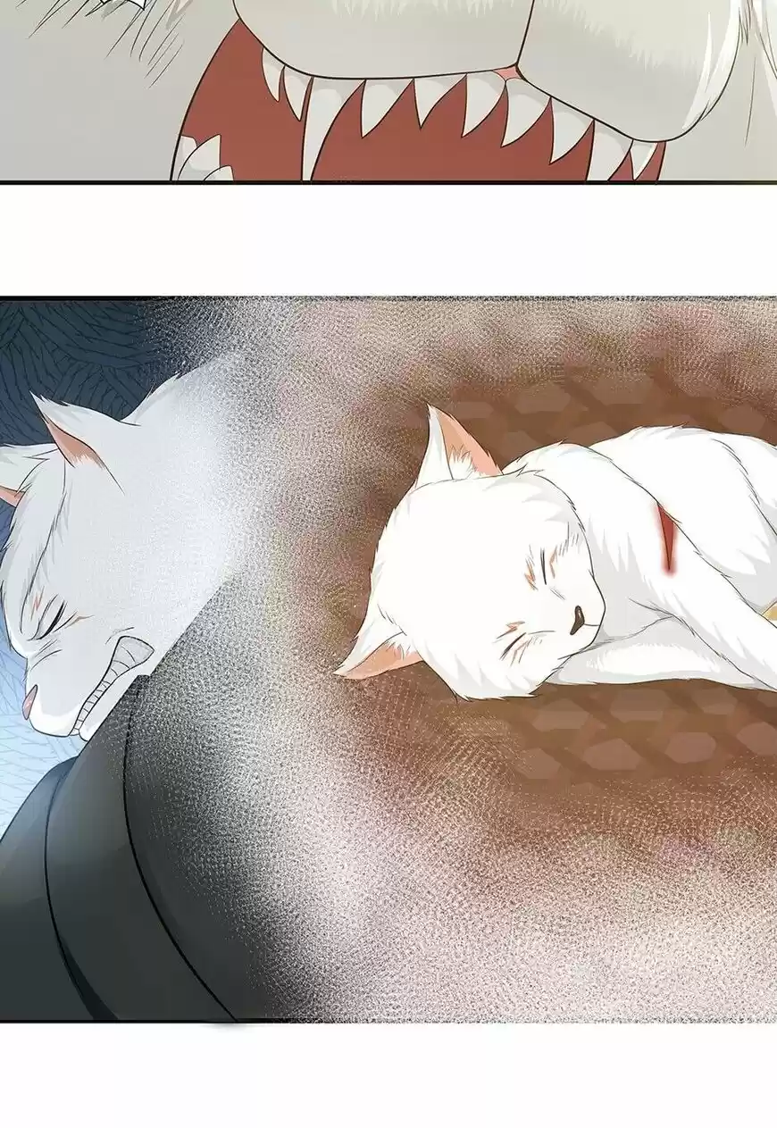 Nymph Project ch.104