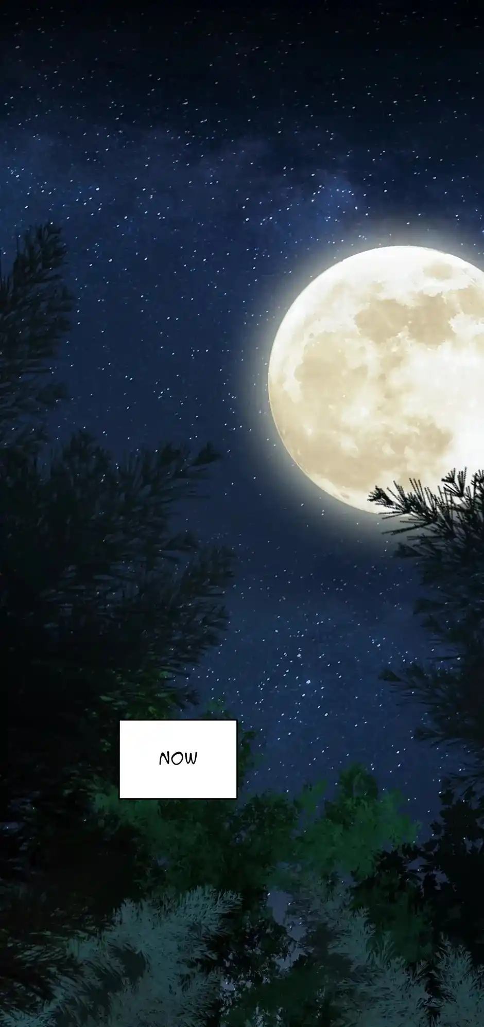 Nymph Project Chapter 188