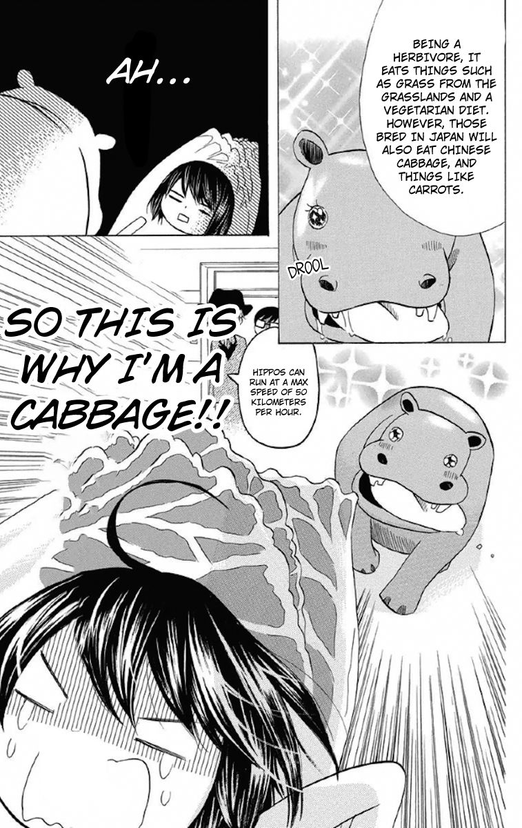 Obaka-chan, Koigatariki 33