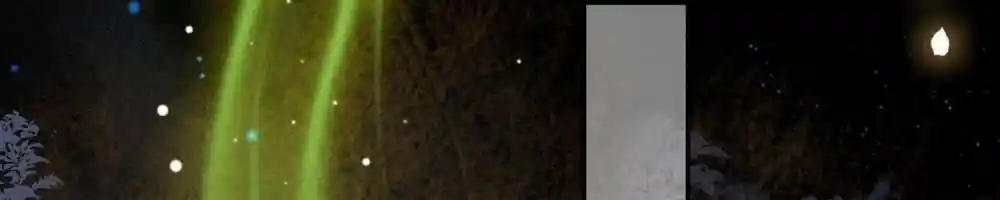 Oh My Savage Princess！ Chapter 131