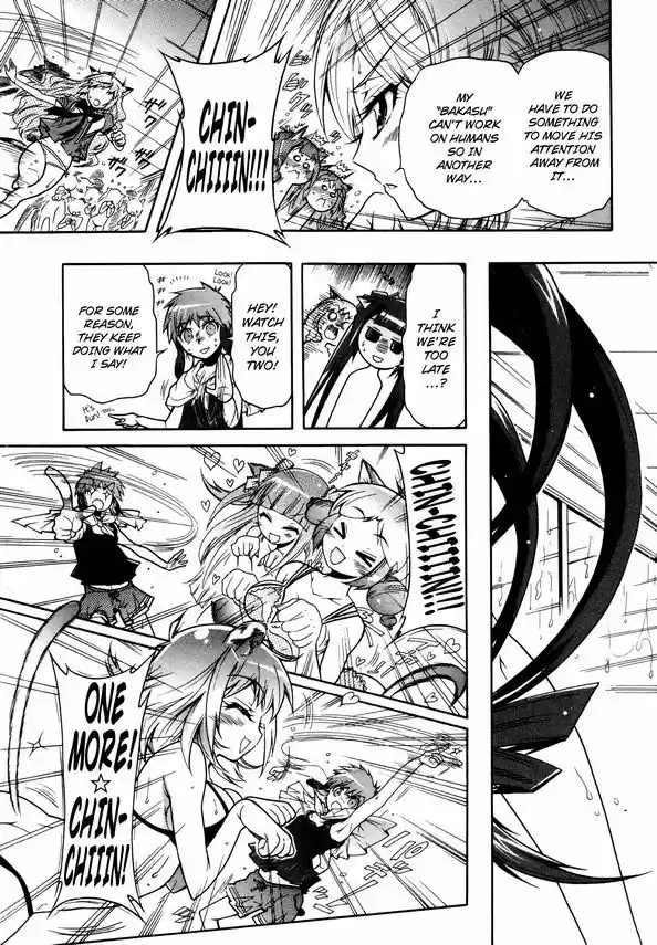 Okasu Bekarazu!! Junketsu Tokku! 14