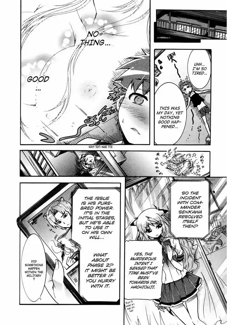 Okasu Bekarazu!! Junketsu Tokku! 17