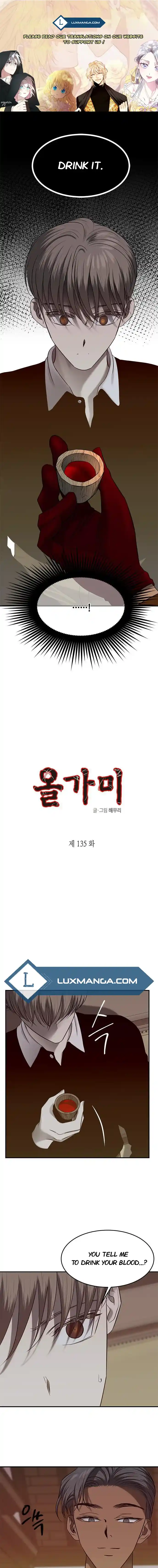Olgami Chapter 135
