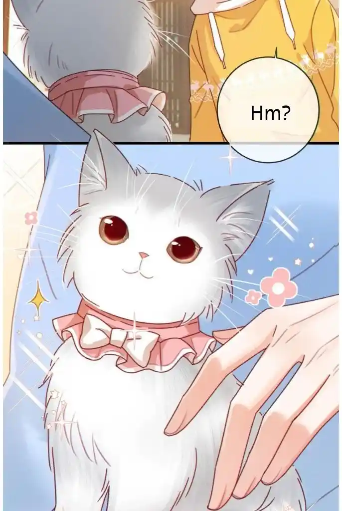 Omg! I Gave Birth A Child With Him Chapter 61