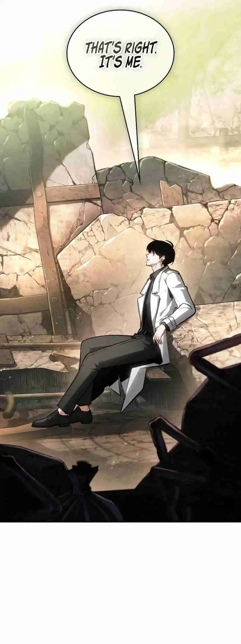 Omniscient Reader's Viewpoint 247