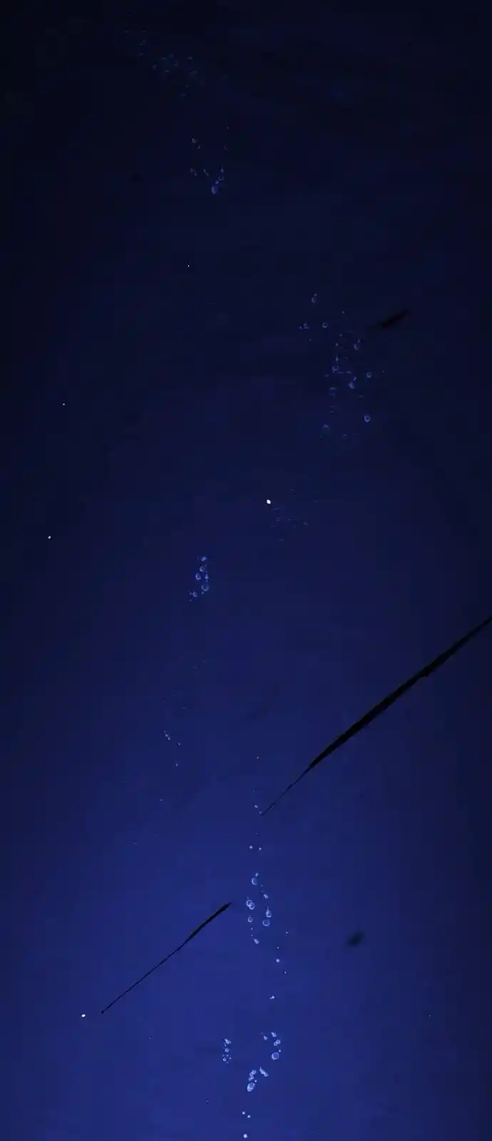 One Day, Suddenly, Seoul Is 0.1