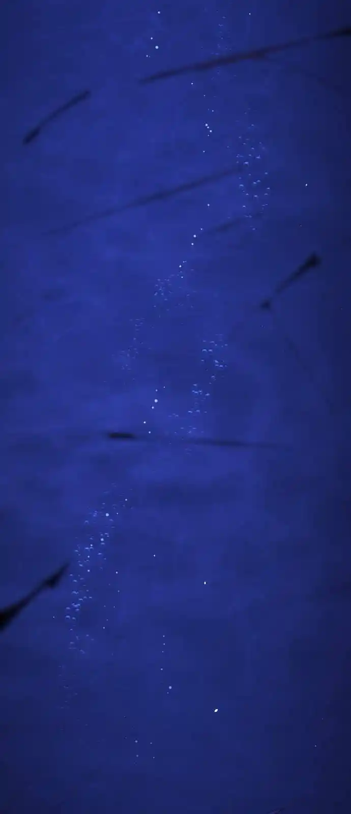 One Day, Suddenly, Seoul Is 0.1