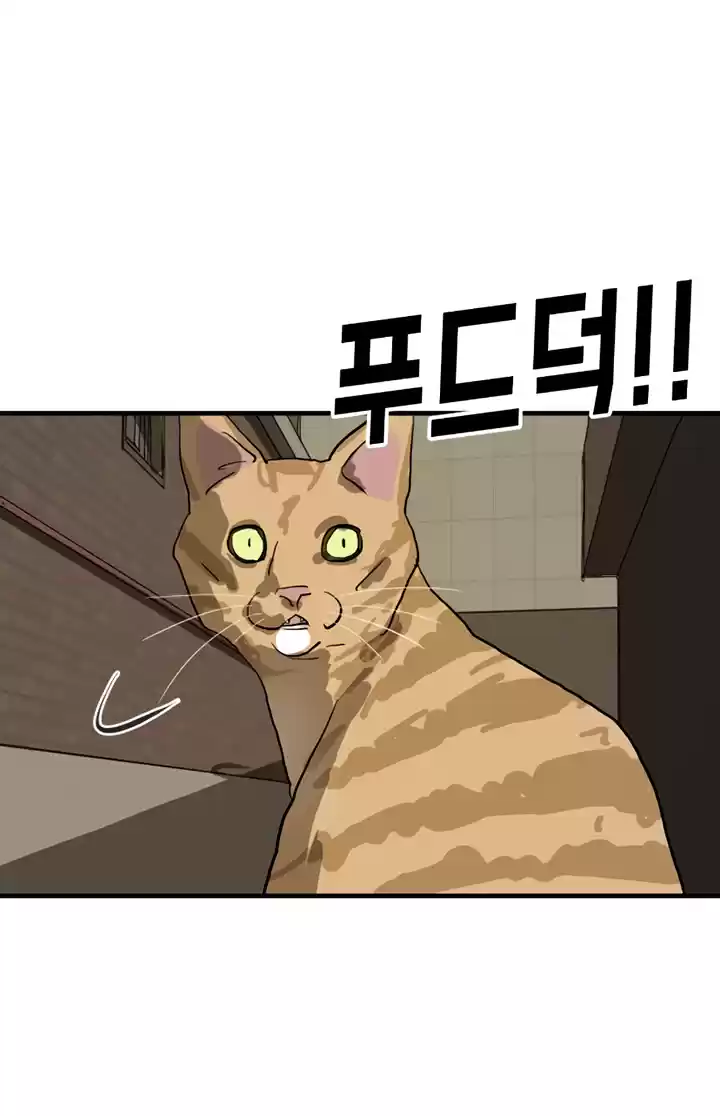 One Day, Suddenly, Seoul Is Vol.1 Chapter 14