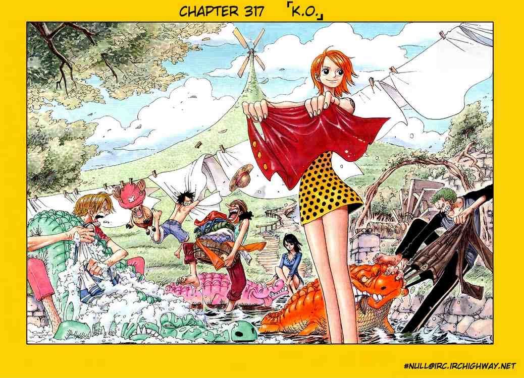 One Piece 317