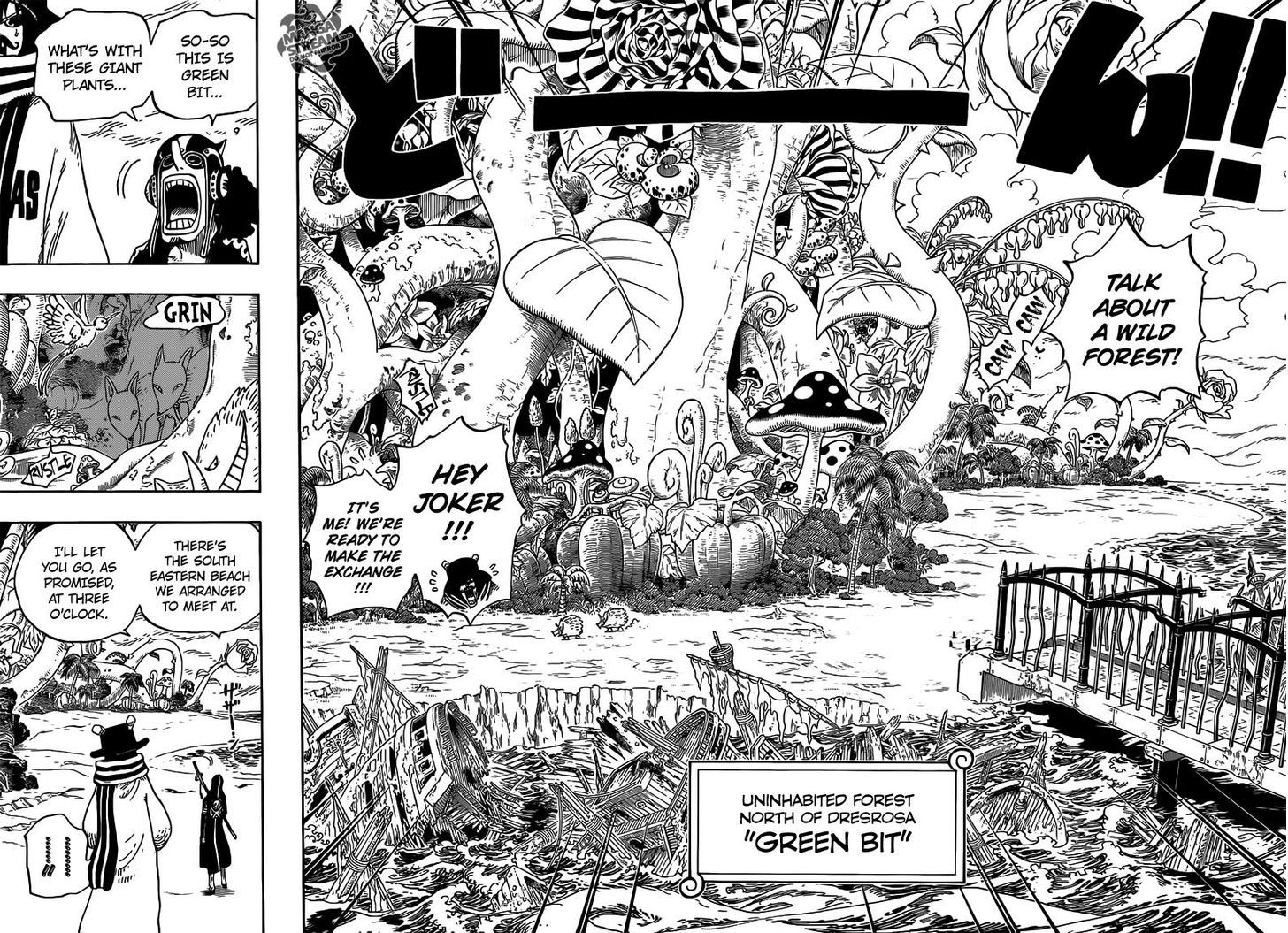 One Piece 710