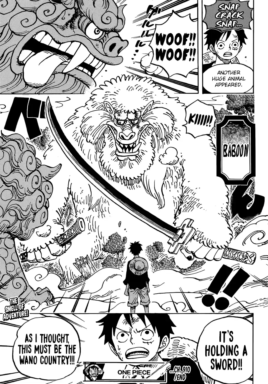 One Piece 910