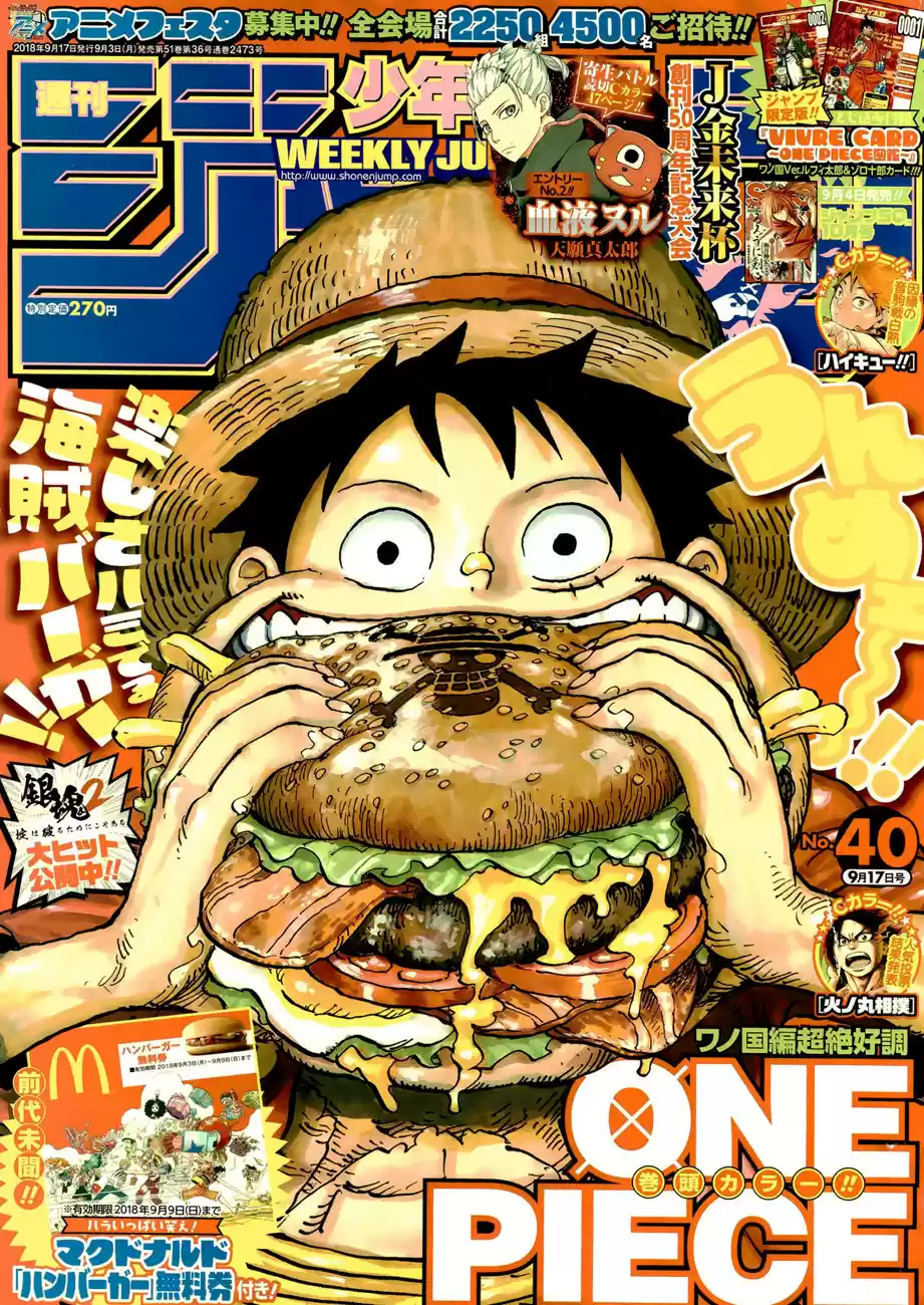 One Piece 916