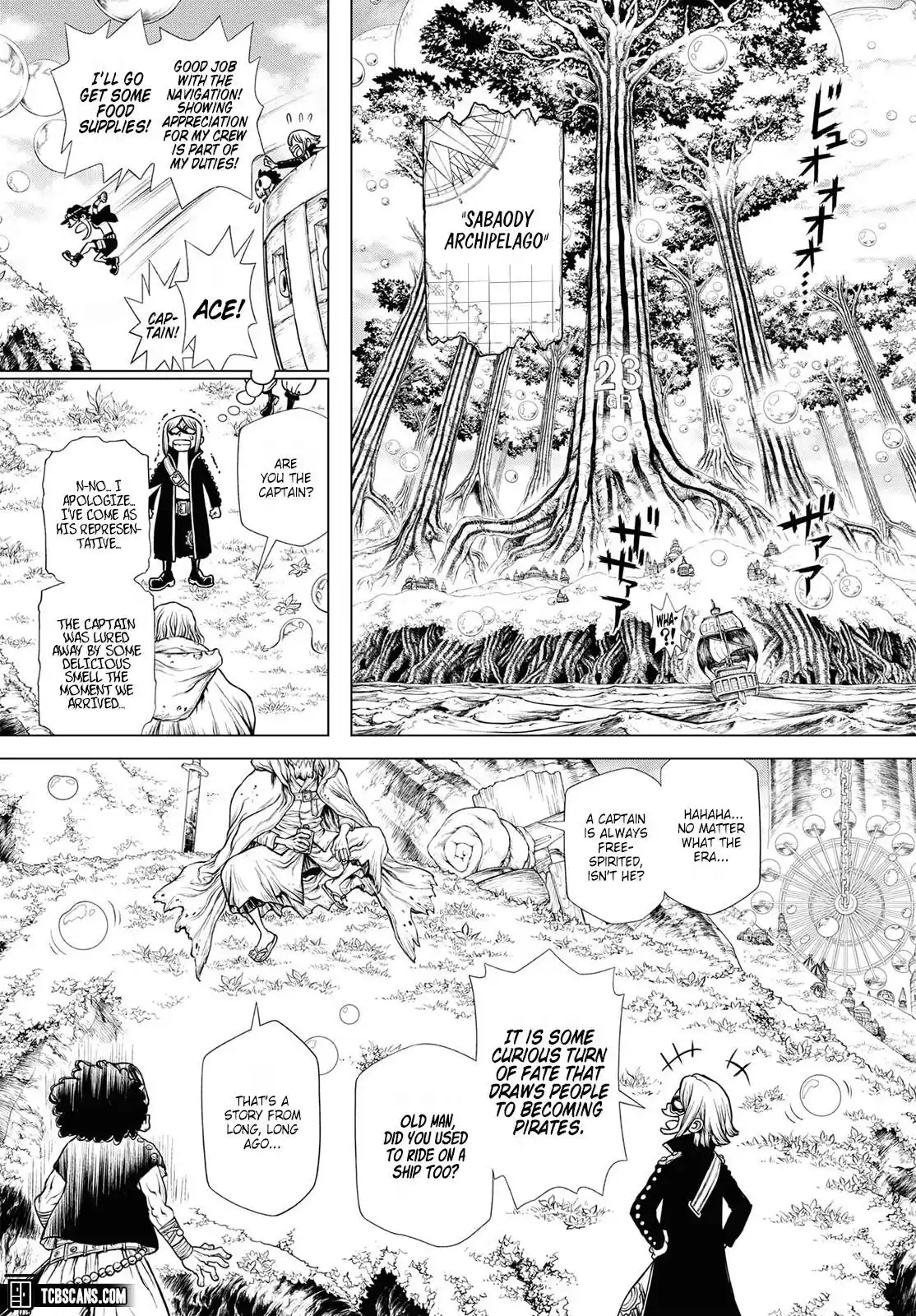 One Piece Chapter 1003.5