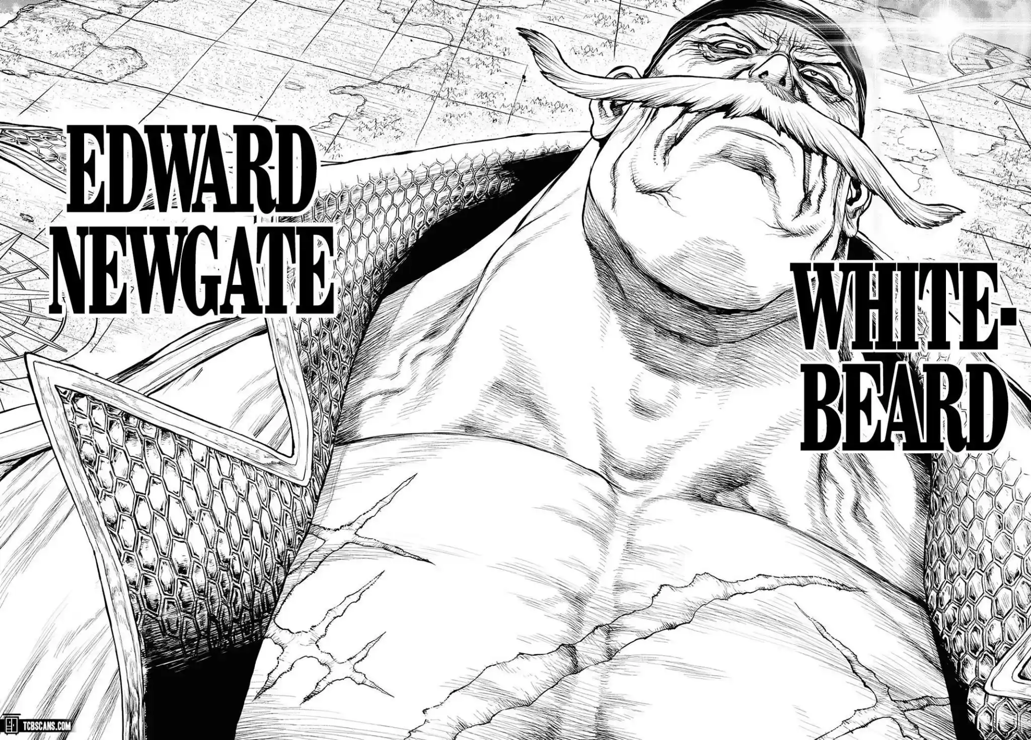 One Piece Chapter 1003.5