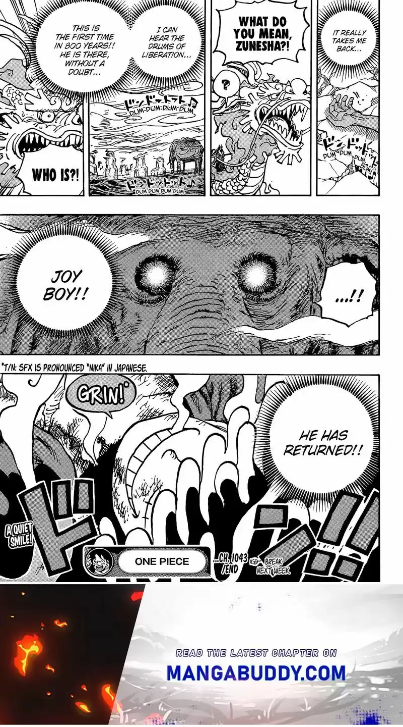 One Piece Chapter 1043