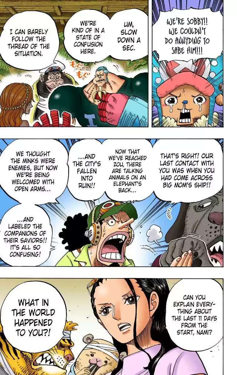 One Piece - Digital Colored Comics Chapter 807