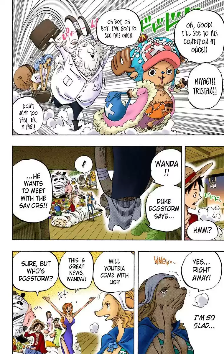 One Piece - Digital Colored Comics Chapter 807