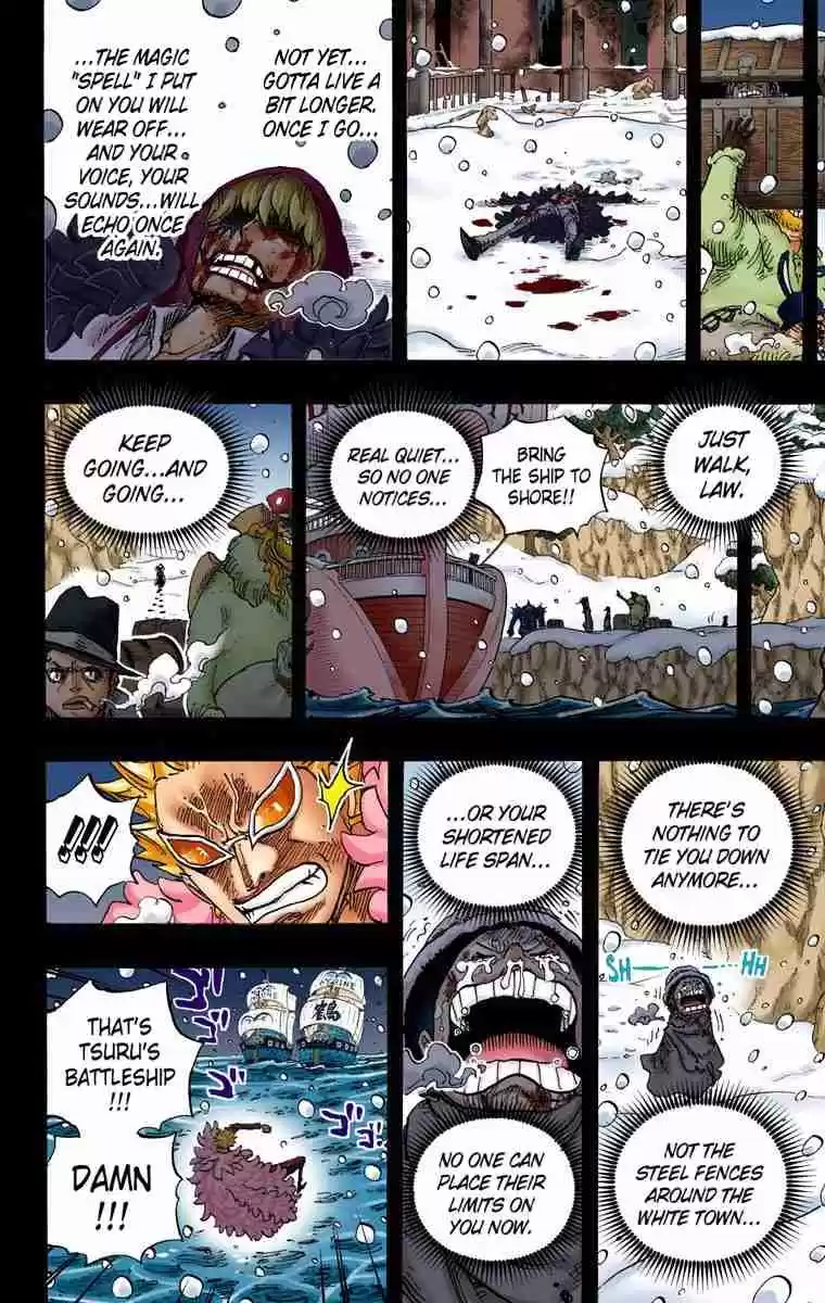 One Piece Digital Colored Comics Vol. 77 Ch. 767 Cora san