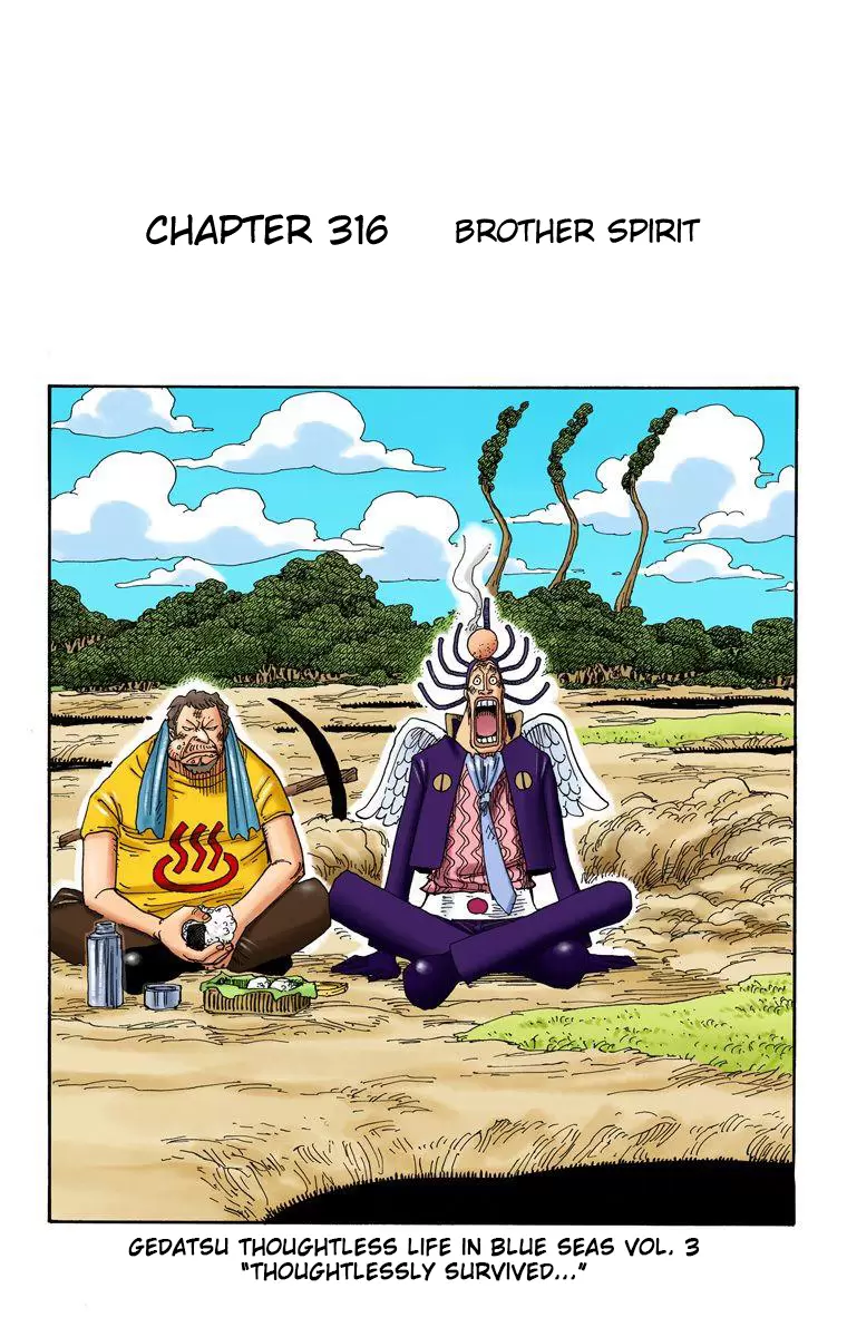 One Piece - Digital Colored Comics Vol.33 Chapter 316: Brother Spirit
