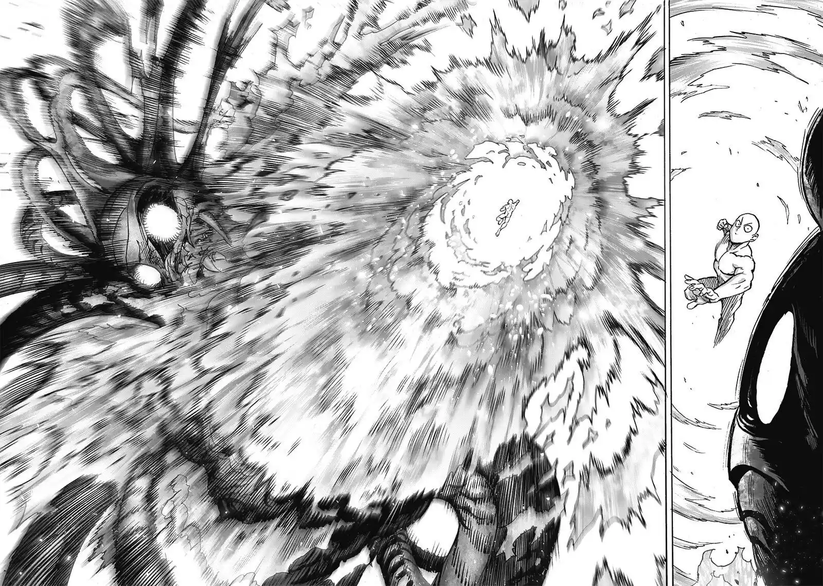 One Punch Man Chapter 108.5