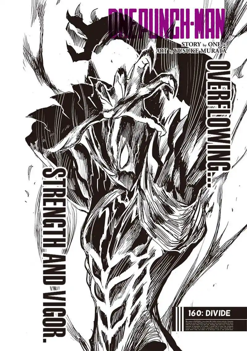 One-Punch Man Chapter 159.16