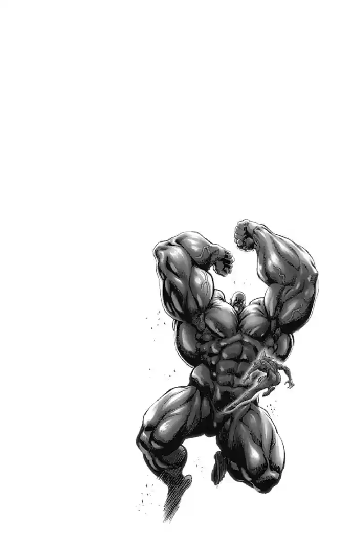 One-Punch Man Chapter 167.5