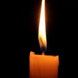 One-Punch Man Chapter 190