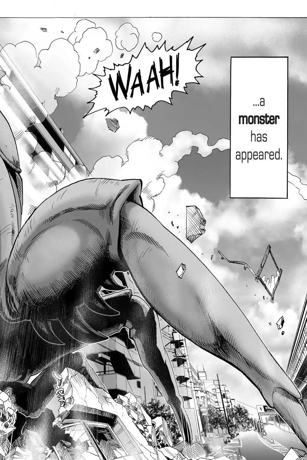 One Punch-Man Onepunch-Man 20.5