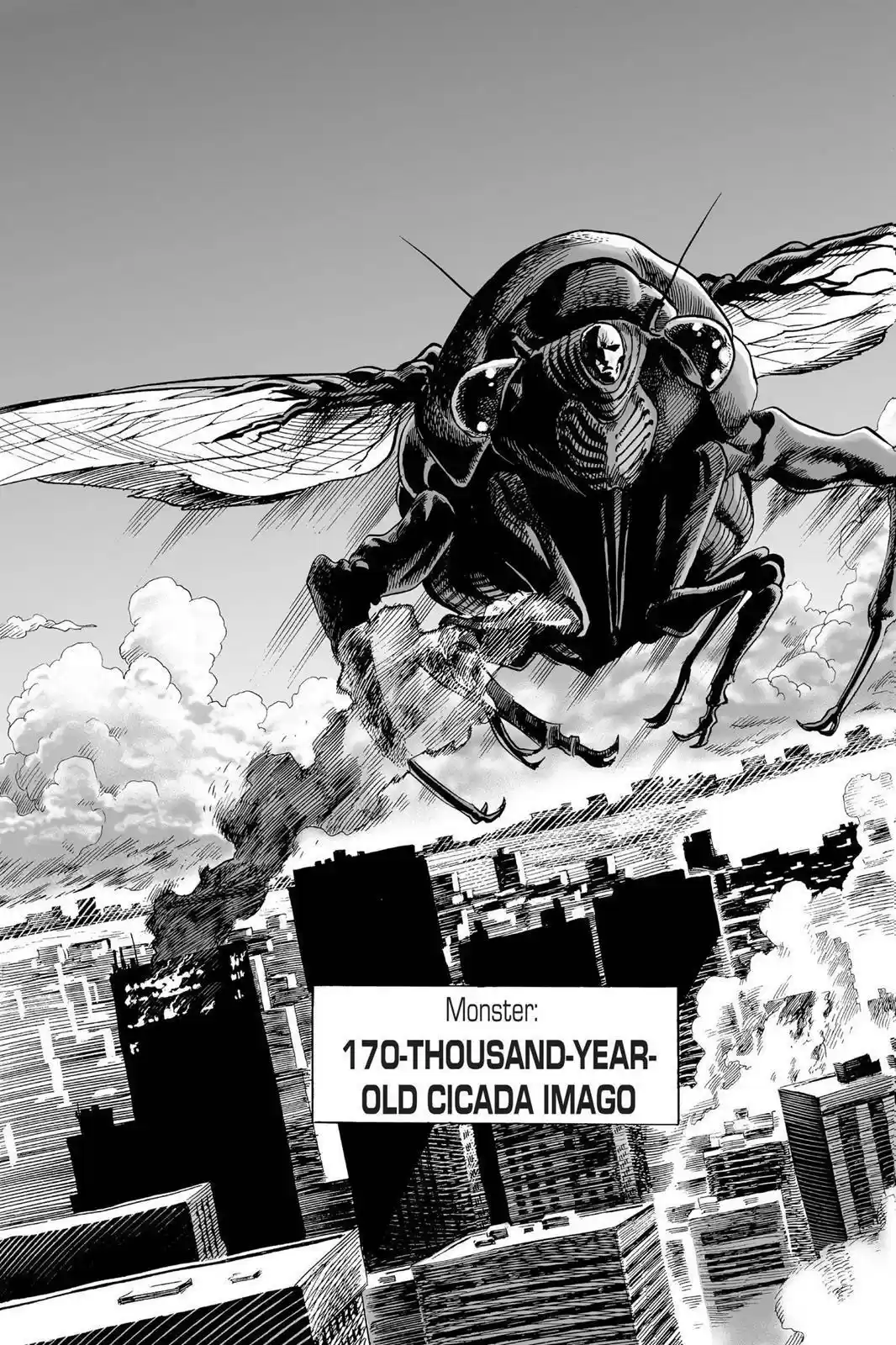 One Punch-Man Onepunch-Man 20.5