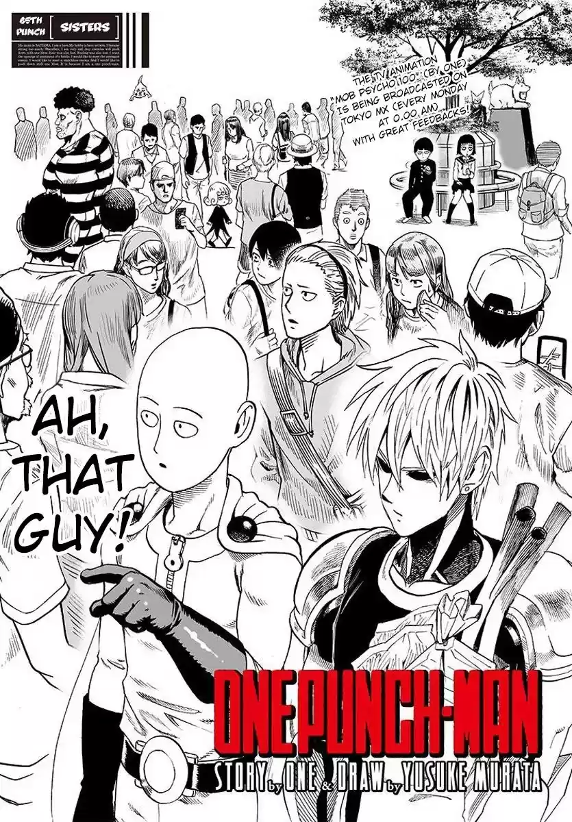 One Punch-Man Onepunch-Man 65.1