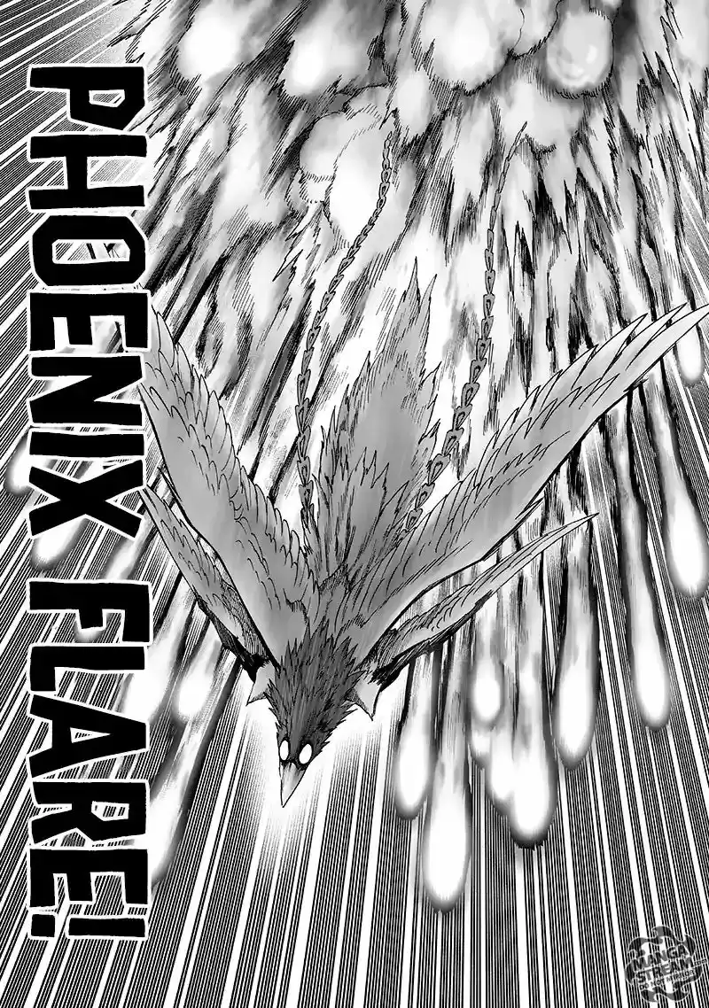 One Punch-Man Onepunch-Man 99.3