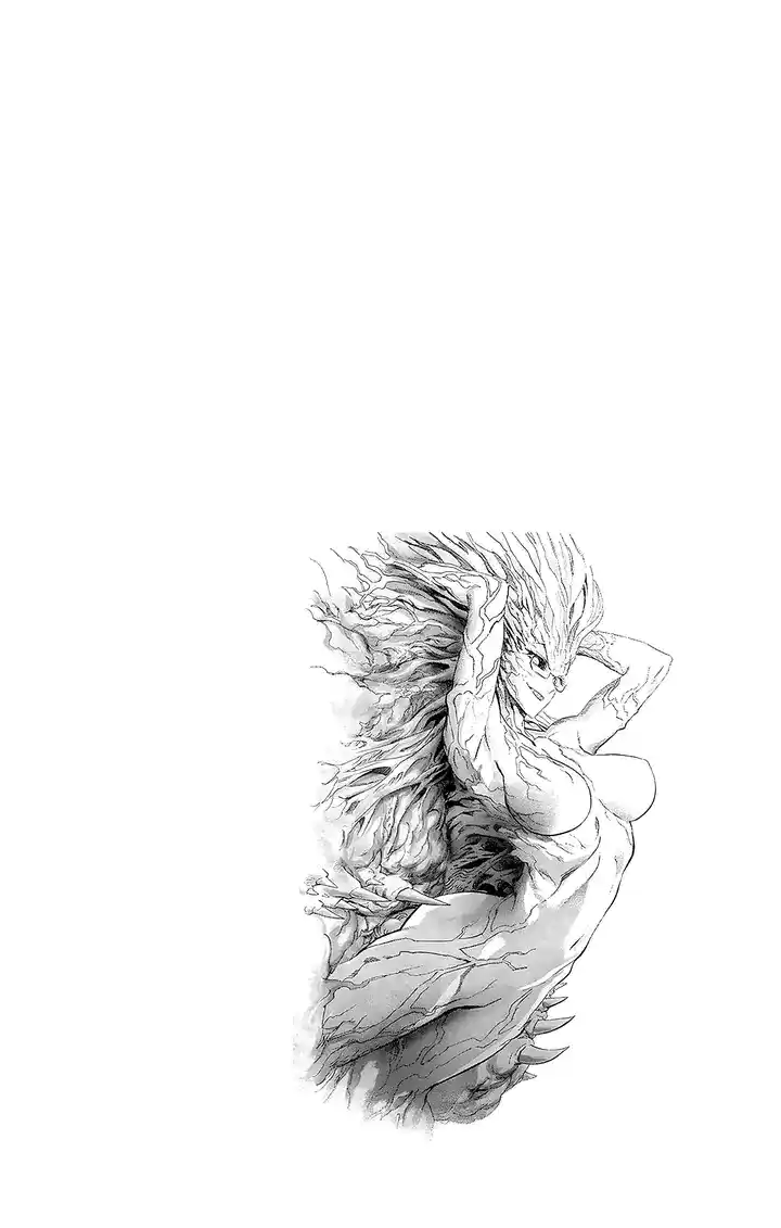 One-Punch Man Volume 28 Chapter 187.5